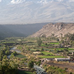 campina-arequipa_card