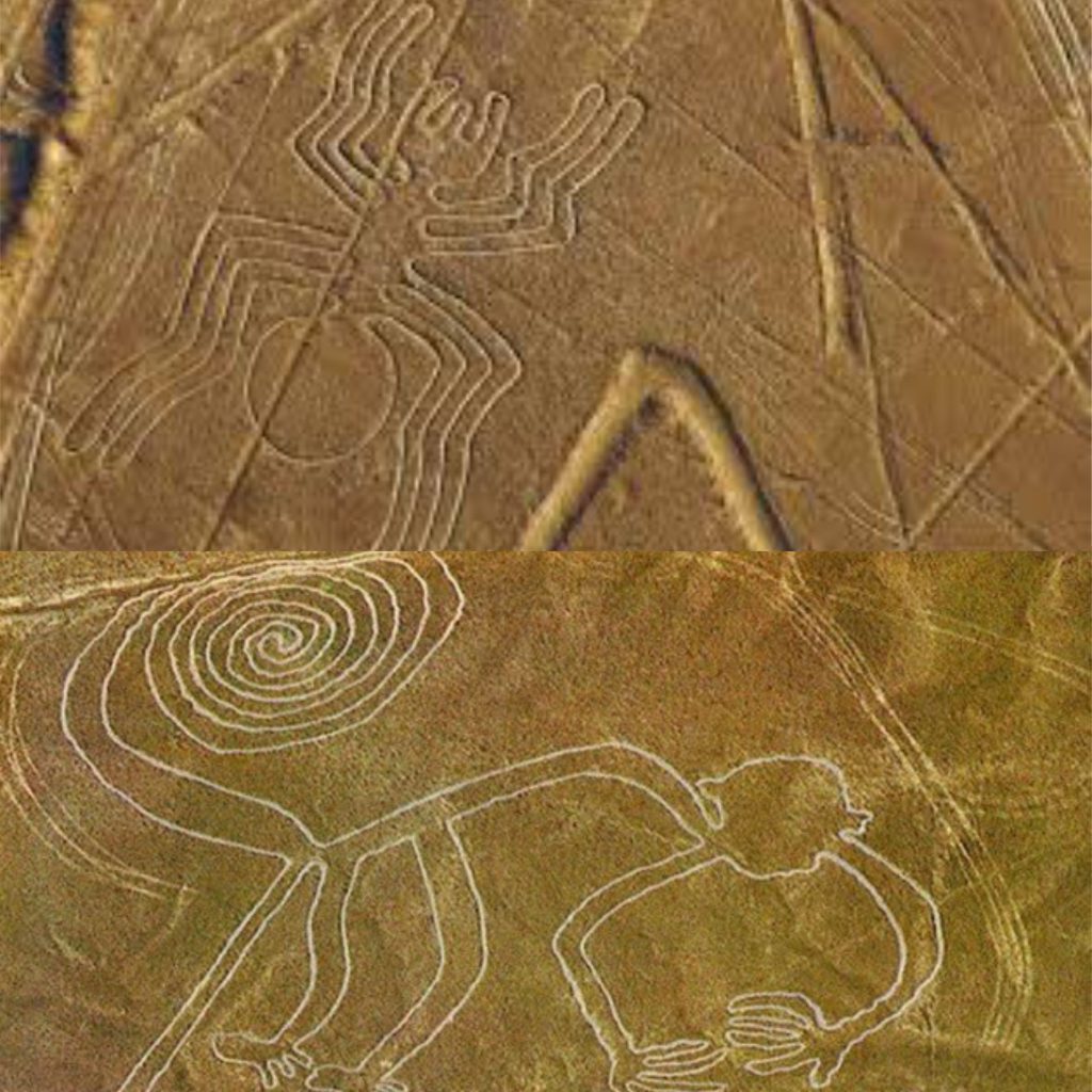 lineasnazca2